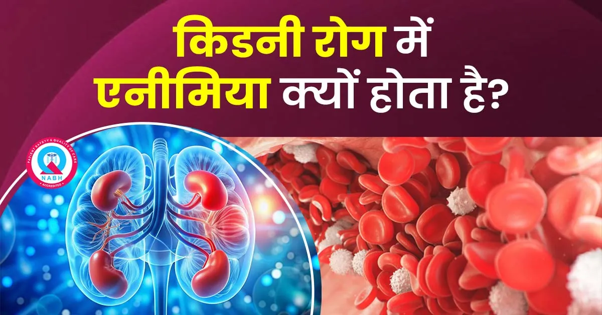 किडनी-रोग-में-एनीमिया-क्यों-होता-है